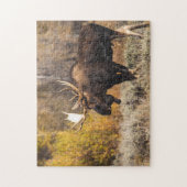 Puzzle L'Oie Majestueuse En Plein Air Photo (Vertical)