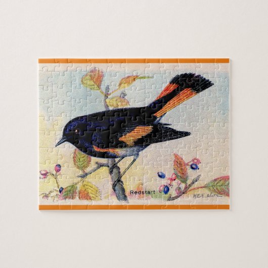 Puzzle L'oiseau Redstart (Horizontal)