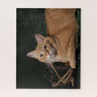 Puzzle Loki avec le traîneau