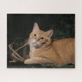 Puzzle Loki avec le traîneau (Horizontal)