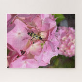Puzzle Longicorne sur hortensia rose (Horizontal)