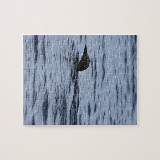 Puzzle Loon (Horizontal)