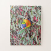 Puzzle lorikee arc-en-ciel (Vertical)