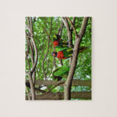 Puzzle Lorikee arc-en-ciel australien (Vertical)