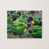 Puzzle Lorikees arc-en-ciel australiens (Horizontal)