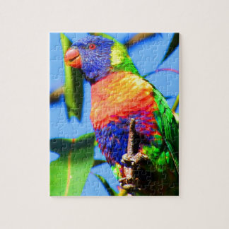 Puzzle lorikeet d'arc-en-ciel