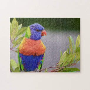 Puzzle Lorikeet Oiseau perché Perroquet Animal Plumes