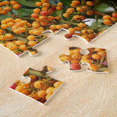 Puzzle Lorikeets arc-en-ciel Australie (Côté)