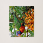 Puzzle Lorikeets arc-en-ciel Australie (Vertical)