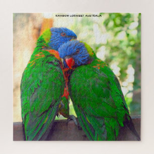 Puzzle Loriquets arc-en-ciel Australie