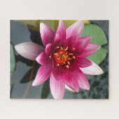 Puzzle Lotus rose (Horizontal)