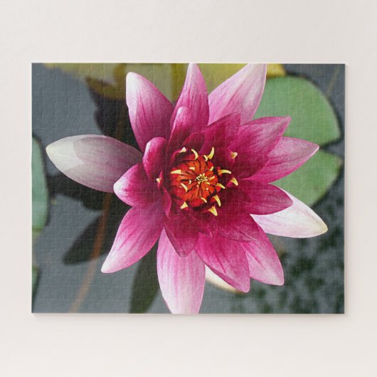 Puzzle Lotus rose (Horizontal)