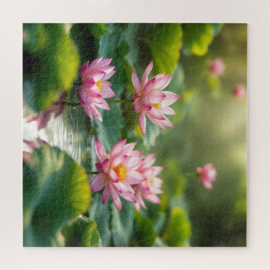 Puzzle Lotus rose flottant dans un étang (Horizontal)