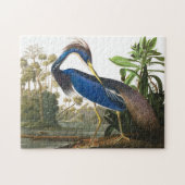 Puzzle Louisiana Heron par John James Audubon (Horizontal)