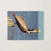 Puzzle Louisiane Brown Pelican 4.jpg (Horizontal)