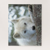 Puzzle LOUP ARCTIQUE 16x20 POUCES (Vertical)