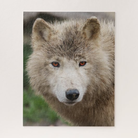 Puzzle Loup blanc boueux (Vertical)