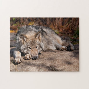 Puzzle Loup de bois
