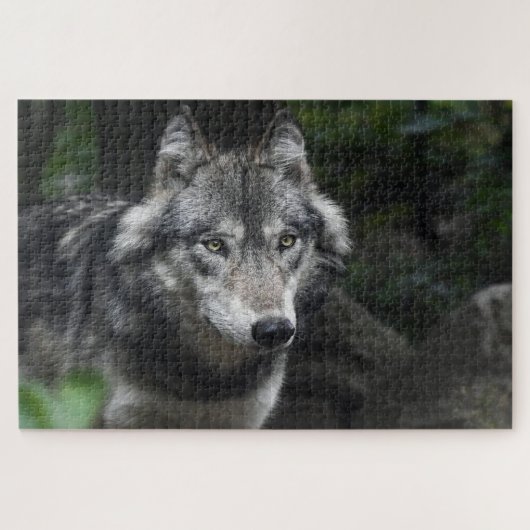 Puzzle Loup gris dans la nature (Horizontal)