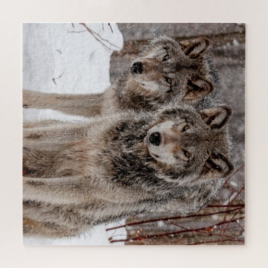 Puzzle Loup gris-oriental (Horizontal)