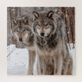 Puzzle Loup gris-oriental (Vertical)