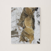 Puzzle Loups dans les bois bavarois (Vertical)