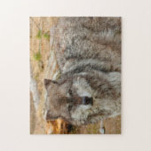 Puzzle Loups de Yellowstone. (Vertical)