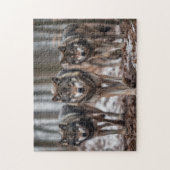 Puzzle Loups de Yellowstone (Vertical)