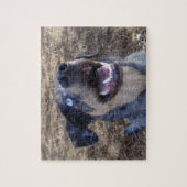 Puzzle Lousiana Catahoula Leopard Dog (Vertical)