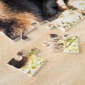 PUZZLE LOUTRES (Côté)