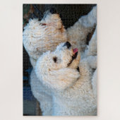 Puzzle Love Goldendoodles (Vertical)