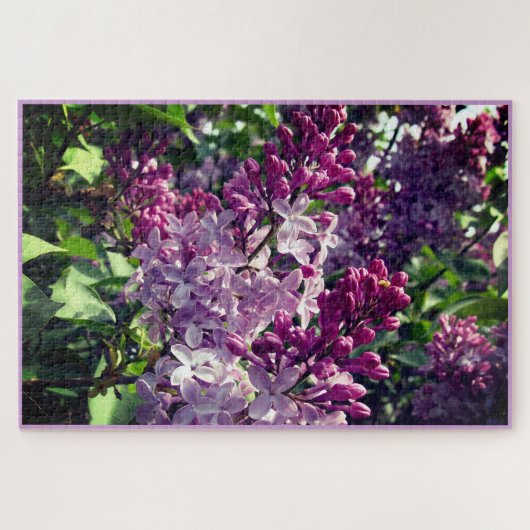 Puzzle Lovely Lilacs Bloom in Ohio Springtime (Horizontal)