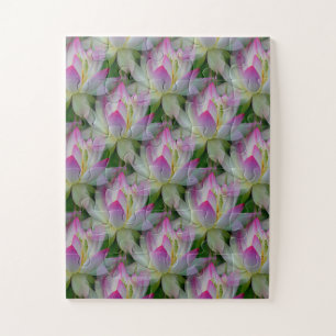 Puzzle Loving Lotuses...