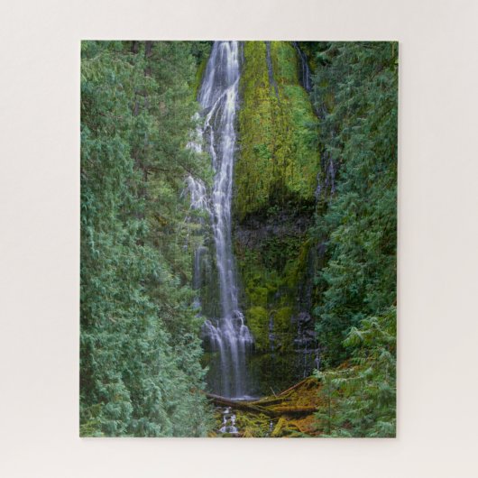 Puzzle Lower Proxy Falls | Forêt nationale de Willamette (Vertical)