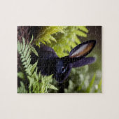 Puzzle Lucifer le lapin noir : un sombre paquet de désord (Horizontal)