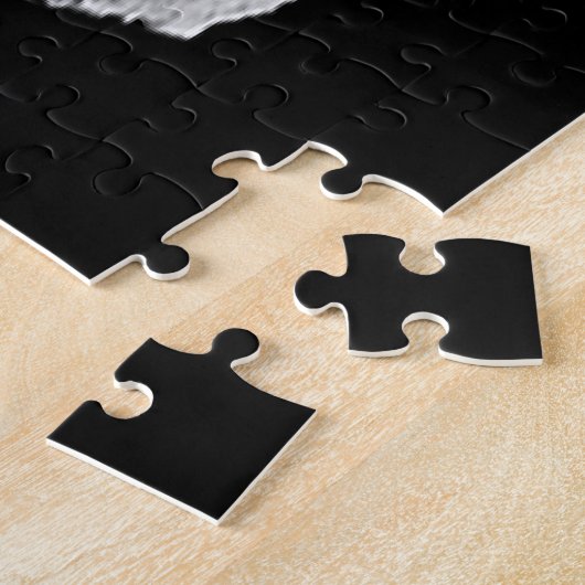 Puzzle Lucy Mission Dinkinesh Binary Asteroid (Côté)