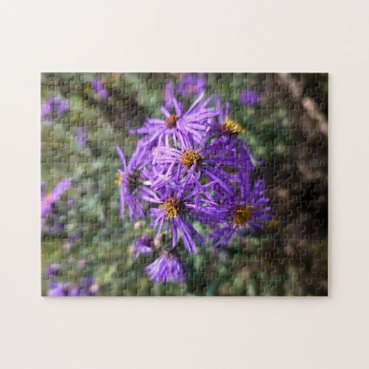 Puzzle Lueur violette de l'automne (Horizontal)