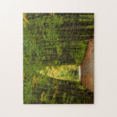 Puzzle Lumière Au Bout D'Un Tunnel D'Arbres (Vertical)