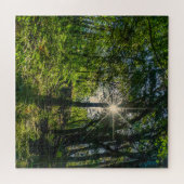 Puzzle Lumière dans la forêt (Horizontal)