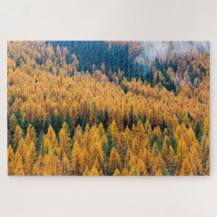 Puzzle Lumière du matin sur la plage Île Tybee