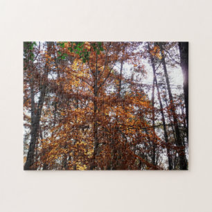 Puzzle Lumière du soleil à travers un arbre en automne à