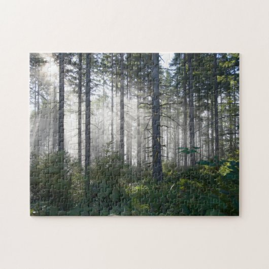 Puzzle Lumière du soleil traversant une forêt brumeuse (Horizontal)