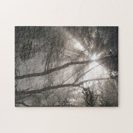 Puzzle Lumière Solaire À Travers Les Arbres (Horizontal)