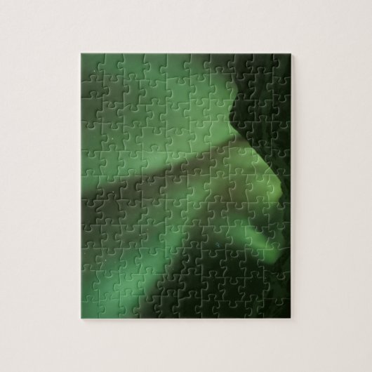 Puzzle Lumières du Nord, Aurora borealis sur les contrefo (Vertical)