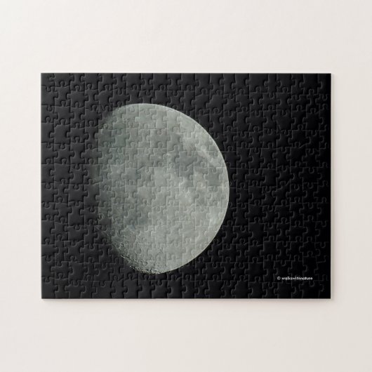 Puzzle Lune de mi-été éveillée à la nuit (Horizontal)