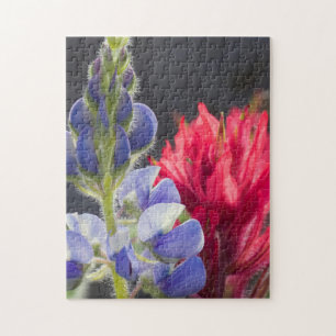 Puzzle Lupin argenté, Pinceau lavande