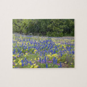 Puzzle Lupins, primevère et phlox