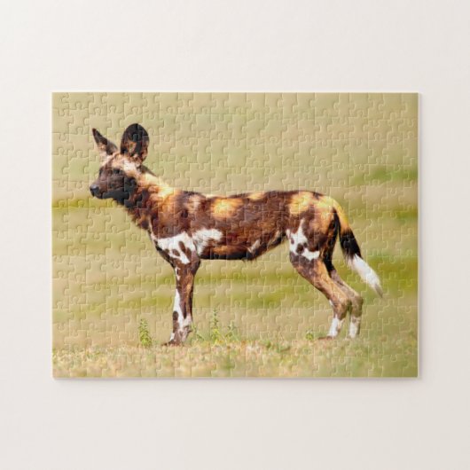 Puzzle Lycaon Pictus Debout (Horizontal)