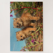 Puzzle Lynx Kittens, Canada, Alaska (Vertical)