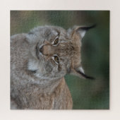 Puzzle Lynx Vous Regarde (Horizontal)